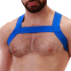 Harnais en élastique Matt Bleu 
