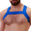 Harnais en élastique Matt Bleu