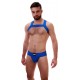 Harnais en élastique Matt Bleu 