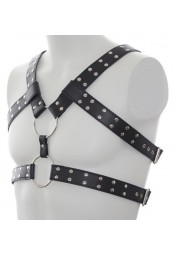 Harnais Double Belt Simili noir