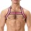 Harnais élastique Colin Rose