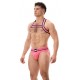 Harnais élastique Colin Rose 