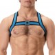Harnais élastique Colin Bleu