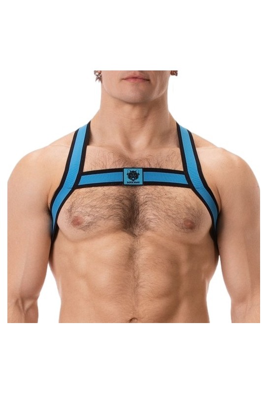 Harnais élastique Colin Bleu 