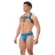 Harnais élastique Colin Bleu 