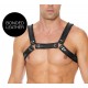 Harnais Buckle Bulldog Noir 