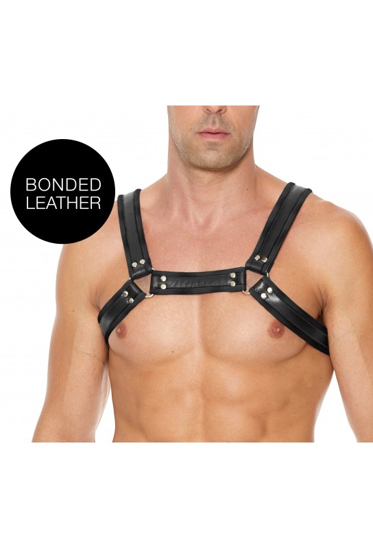 Harnais Buckle Bulldog Noir 