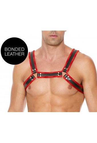 Harnais Buckle Bulldog Noir-Rouge 