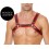 Harnais Buckle Bulldog Noir-Rouge