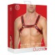 Harnais Buckle Bulldog Noir-Rouge 