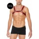 Harnais Buckle Bulldog Noir-Rouge 