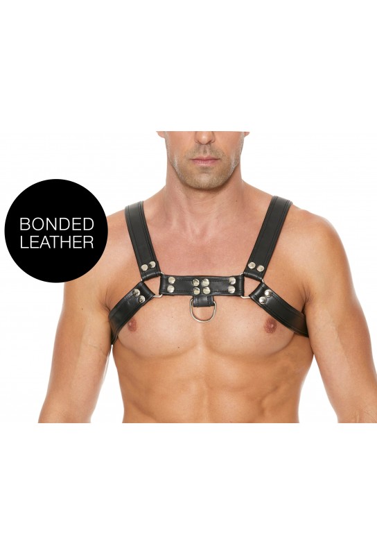 Harnais Chest Bulldog Noir 