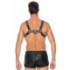 Harnais Chest Bulldog Noir 