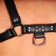 Harnais en cuir premium noir 