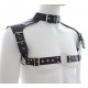 Harnais et Collier Optor Noir 