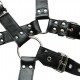 Harnais et Collier Optor Noir 