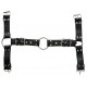 Harnais et Collier Optor Noir 