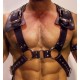 Harnais Gladiator Should Noir 