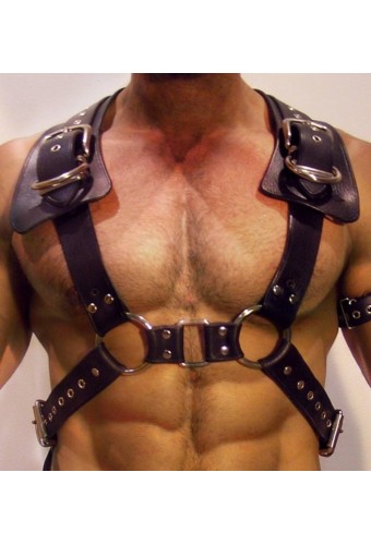 Harnais Gladiator Should Noir 