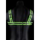 Harnais phosphorescent Glow Strike Noir 