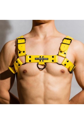 Harnais Chest All Jaune 
