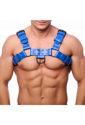 Harnais en cuir Bulldog Bleu 