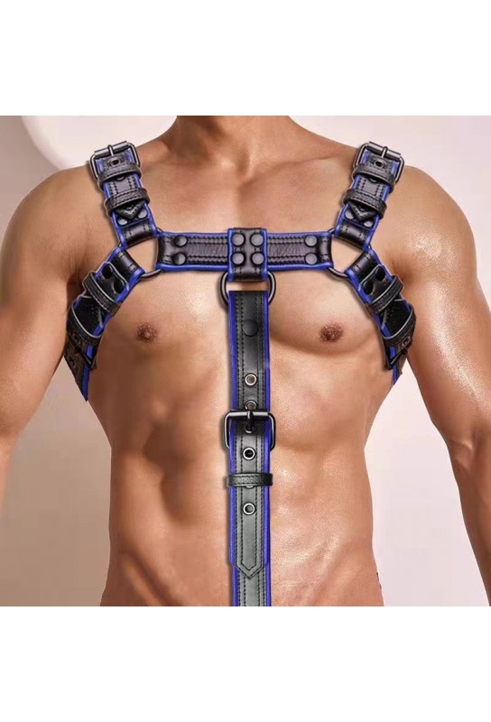 Harnais Simili Hashon Noir-Bleu 