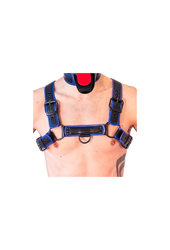 Harnais Puppy Harness Noir-Bleu 