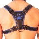 Harnais Puppy Harness Noir-Bleu 