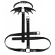 Collier Sm + ceinture Belt Wing Noir 