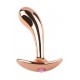 Plug bijou en métal Incurve S 7 x 2cm 