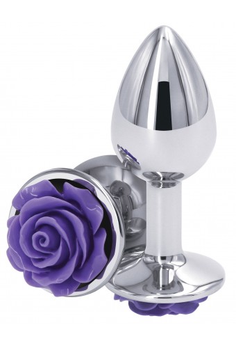 Plug Bijou Rear S 6 x 2.7cm Argenté-Violet 