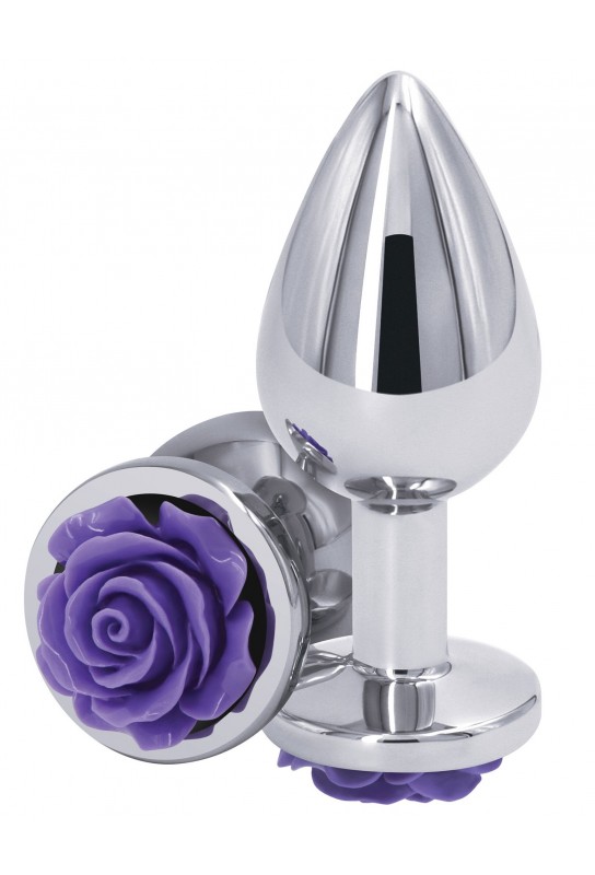 Plug bijou Rear M 7 x 3.4cm Argenté-Violet 