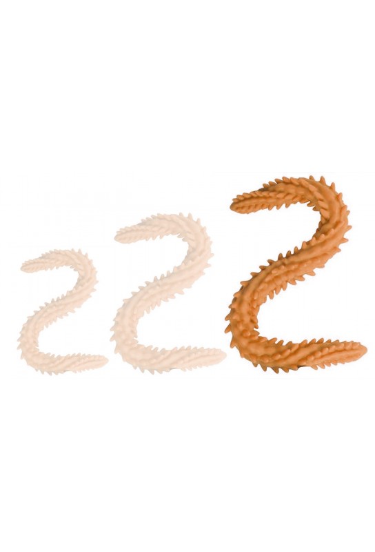 Double Gode Scolop L 60 x 5cm Orange 