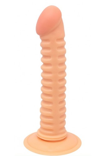Gode Nervy 17 x 3.2cm 