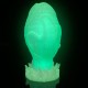 Plug Drakegg S 9 x 5.3cm