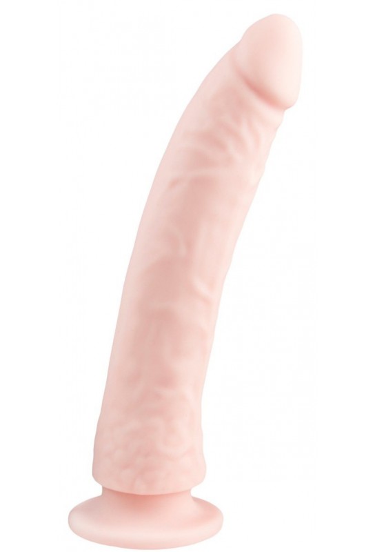 Dildo avec ventouse Forme courbée 19 x 4.5cm 