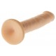 Gode Punky Champs 12 x 2.5cm 