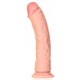 Gode réaliste Curved Strong 23 x 5.5cm 