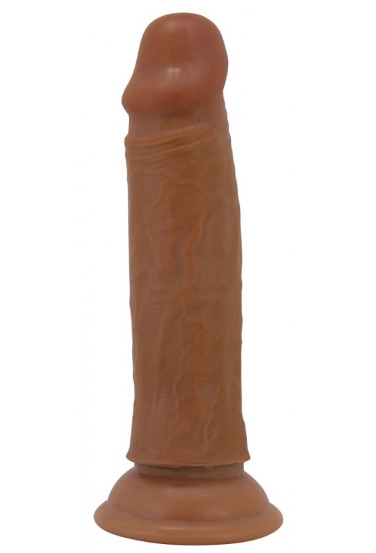 Gode Quentin 15 x 3.8cm Marron 