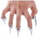 Griffe sensuelle Wolf Claw - A l'unité 
