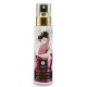 Nettoyant pour les sextoys Shunga 115ml 