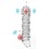 Gaine de pénis vibrante Tortyvizz 12 x 4 cm Transparente