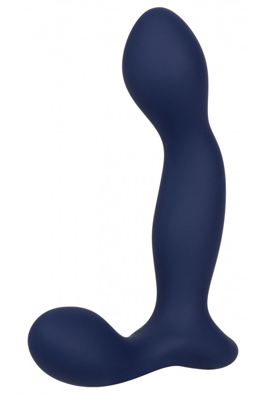 Stimulateur de prostate Expert Probe Viceroy 10 x 2.5cm 
