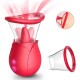 Langue et Succion Tongus Rose 