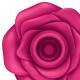 Stimulateur de Clitoris Pro 2 Classic Framboise - Blossom 