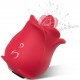 Stimulateur de Clitoris Roseshap 