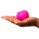 Stimulateur de Clitoris Rose 