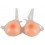 Prothèse Seins en silicone 2400 grammes