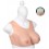 Brassière Seins Coton Bonnet D